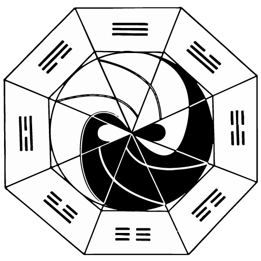 Tai Chi et Qi Gong à Aix-en-Provence